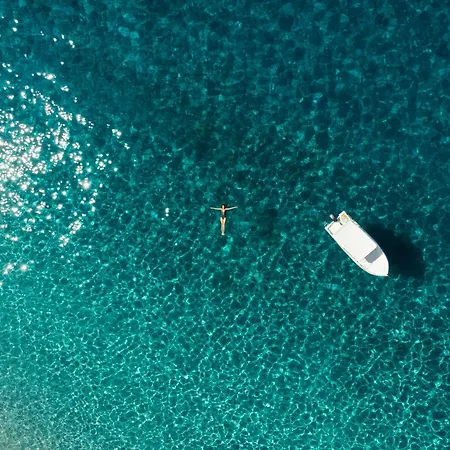 Marine Dream *